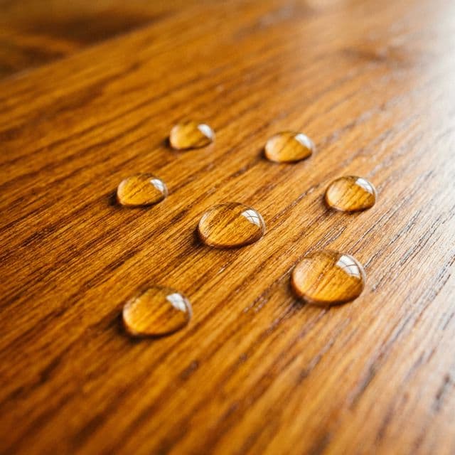 Deck & Fence Staining project 2